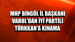 MHP Bingöl İl Başkanı Varol'dan İYİ Partili Türkkan'a kınama