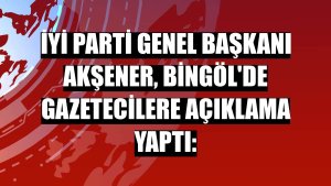 İYİ Parti Genel Başkanı Akşener, Bingöl'de gazetecilere açıklama yaptı: