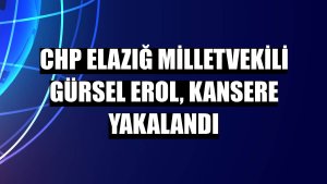 CHP Elazığ Milletvekili Gürsel Erol, kansere yakalandı
