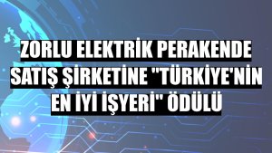 Zorlu Elektrik perakende satış şirketine 'Türkiye'nin En İyi İşyeri' ödülü
