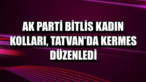 AK Parti Bitlis Kadın Kolları, Tatvan'da kermes düzenledi