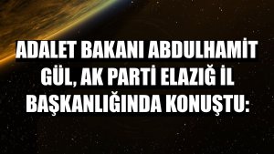 Adalet Bakanı Abdulhamit Gül, AK Parti Elazığ İl Başkanlığında konuştu: