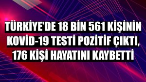 Türkiye'de 18 bin 561 kişinin Kovid-19 testi pozitif çıktı, 176 kişi hayatını kaybetti
