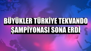 Büyükler Türkiye Tekvando Şampiyonası sona erdi
