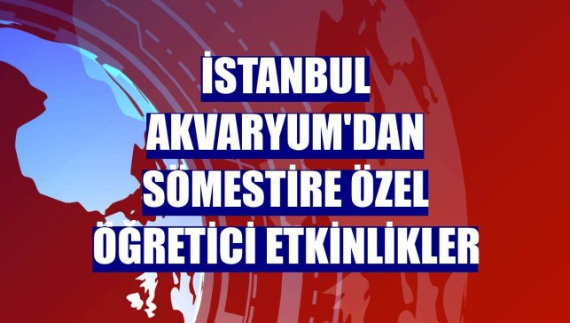İstanbul Akvaryum'dan sömestire özel öğretici etkinlikler