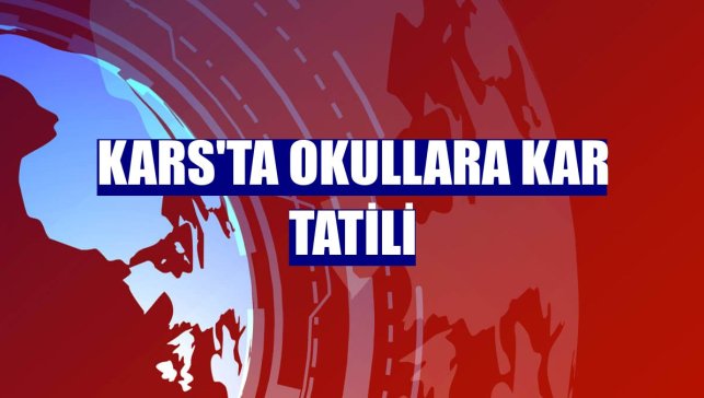Kars'ta okullara kar tatili