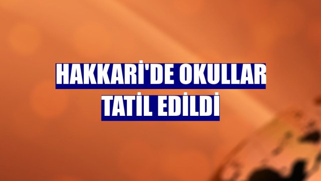 Hakkari'de okullar tatil edildi