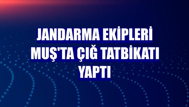 Jandarma ekipleri Muş'ta çığ tatbikatı yaptı