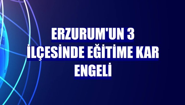 Erzurum'un 3 ilçesinde eğitime kar engeli