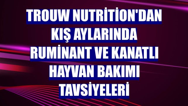 Trouw Nutrition'dan kış aylarında ruminant ve kanatlı hayvan bakımı tavsiyeleri