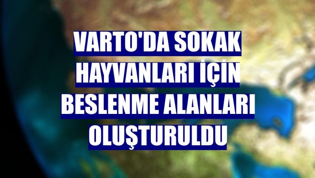 Varto'da sokak hayvanları için beslenme alanları oluşturuldu