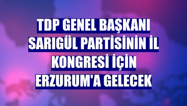 TDP Genel Başkanı Sarıgül partisinin il kongresi için Erzurum'a gelecek