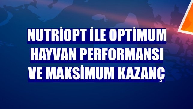 NutriOpt ile optimum hayvan performansı ve maksimum kazanç