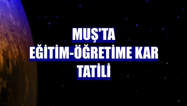 Muş'ta eğitim-öğretime kar tatili