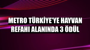 Metro Türkiye'ye hayvan refahı alanında 3 ödül