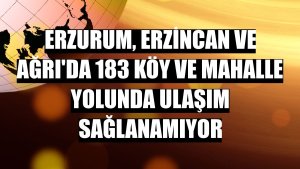 Erzurum, Erzincan ve Ağrı'da 183 köy ve mahalle yolunda ulaşım sağlanamıyor