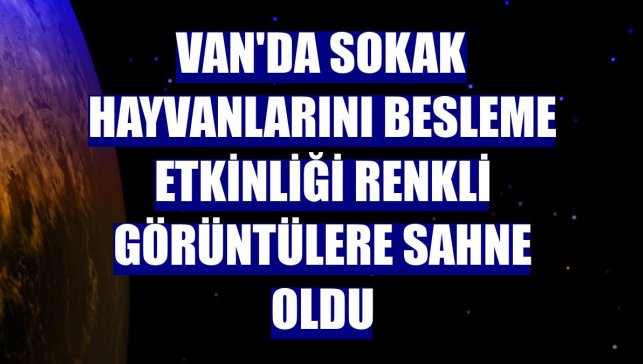 Van'da sokak hayvanlarını besleme etkinliği renkli görüntülere sahne oldu