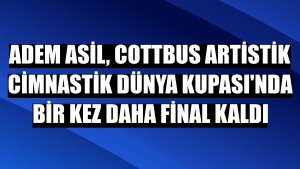 Adem Asil, Cottbus Artistik Cimnastik Dünya Kupası'nda bir kez daha final kaldı