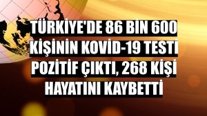 Türkiye'de 86 bin 600 kişinin Kovid-19 testi pozitif çıktı, 268 kişi hayatını kaybetti
