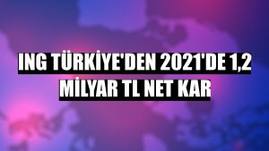 ING Türkiye'den 2021'de 1,2 milyar TL net kar