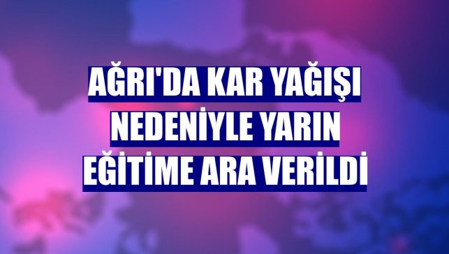 Ağrı'da kar yağışı nedeniyle yarın eğitime ara verildi
