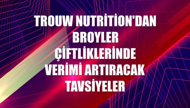 Trouw Nutrition'dan broyler çiftliklerinde verimi artıracak tavsiyeler