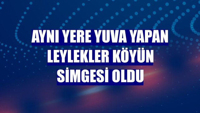 Aynı yere yuva yapan leylekler köyün simgesi oldu