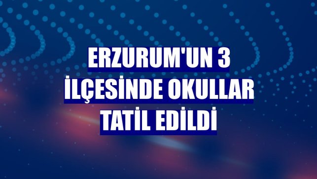 Erzurum'un 3 ilçesinde okullar tatil edildi