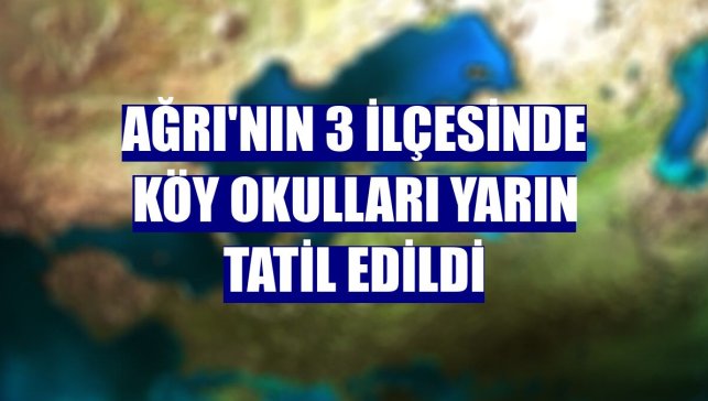 Ağrı'nın 3 ilçesinde köy okulları yarın tatil edildi
