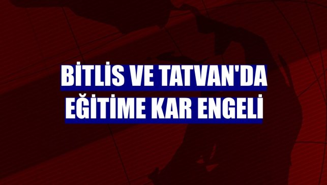 Bitlis ve Tatvan'da eğitime kar engeli