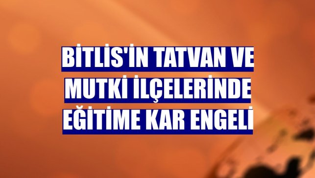 Bitlis'in Tatvan ve Mutki ilçelerinde eğitime kar engeli