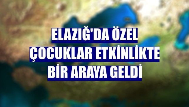 Elazığ'da özel çocuklar etkinlikte bir araya geldi