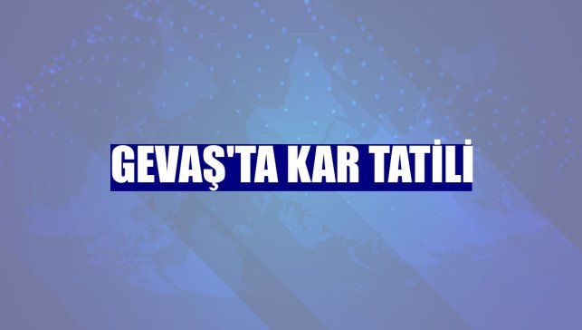 Gevaş'ta kar tatili