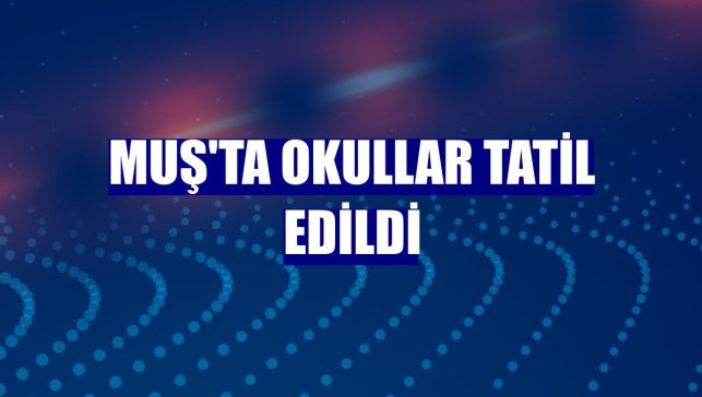 Muş'ta okullar tatil edildi