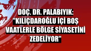 Doç. Dr. Palabıyık: 'Kılıçdaroğlu içi boş vaatlerle bölge siyasetini zedeliyor'