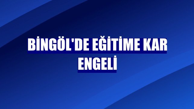 Bingöl'de eğitime kar engeli