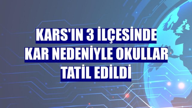 Kars'ın 3 ilçesinde kar nedeniyle okullar tatil edildi