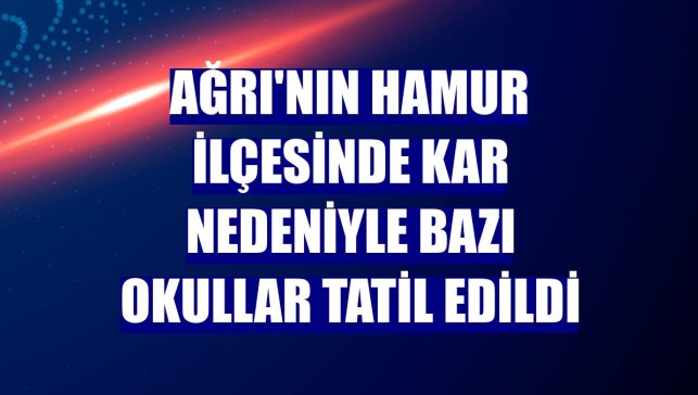 Ağrı'nın Hamur ilçesinde kar nedeniyle bazı okullar tatil edildi