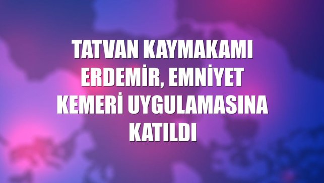 Tatvan Kaymakamı Erdemir, emniyet kemeri uygulamasına katıldı