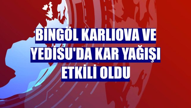 Bingöl Karlıova ve Yedisu'da kar yağışı etkili oldu