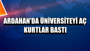 Ardahan'da üniversiteyi aç kurtlar bastı