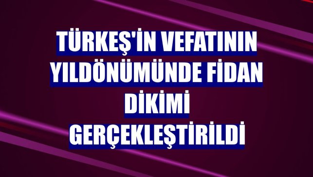 Türkeş'in vefatının yıldönümünde fidan dikimi gerçekleştirildi