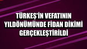 Türkeş'in vefatının yıldönümünde fidan dikimi gerçekleştirildi