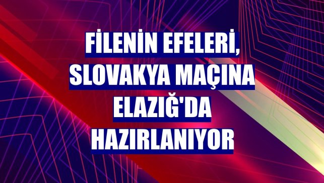 Filenin Efeleri, Slovakya maçına Elazığ'da hazırlanıyor
