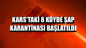 Kars'taki 8 köyde şap karantinası başlatıldı