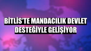 Bitlis'te mandacılık devlet desteğiyle gelişiyor