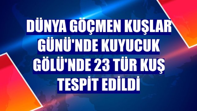Dünya Göçmen Kuşlar Günü'nde Kuyucuk Gölü'nde 23 tür kuş tespit edildi
