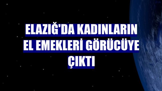 Elazığ'da kadınların el emekleri görücüye çıktı