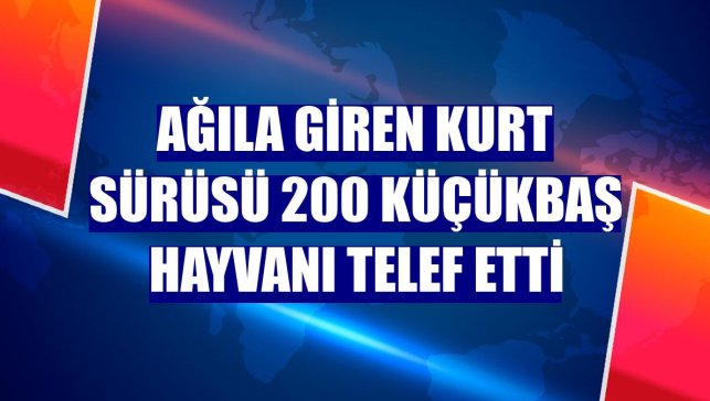 Ağıla giren kurt sürüsü 200 küçükbaş hayvanı telef etti