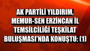 AK Partili Yıldırım, Memur-Sen Erzincan İl Temsilciliği Teşkilat Buluşması'nda konuştu: (1)